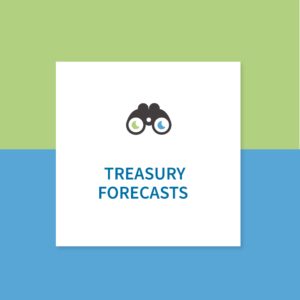 White paper “Treasury forecasts”